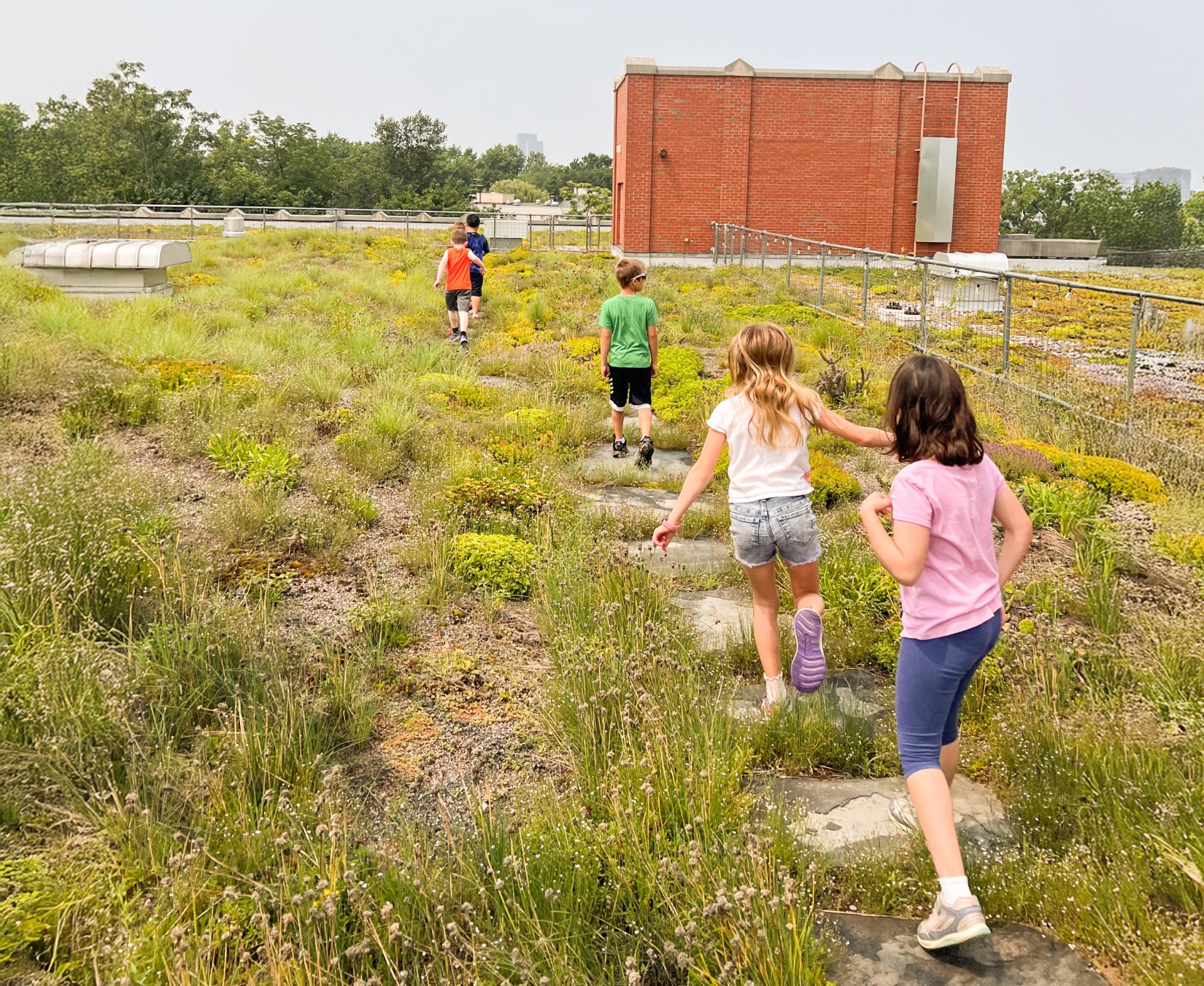 Doane Stuart students exploring the green roof of the Doane Stuart building
