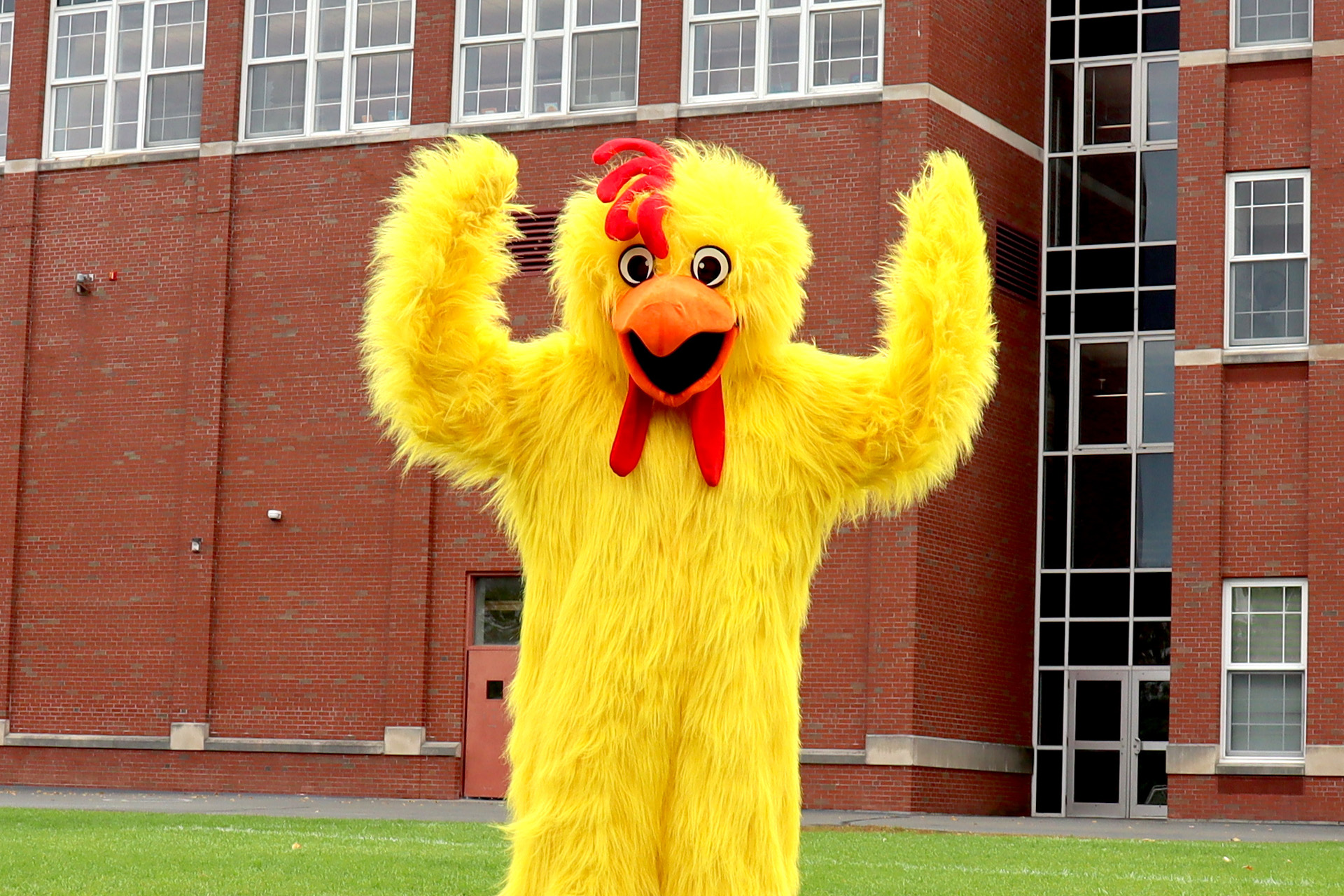 Doane Stuart Thunderchicken